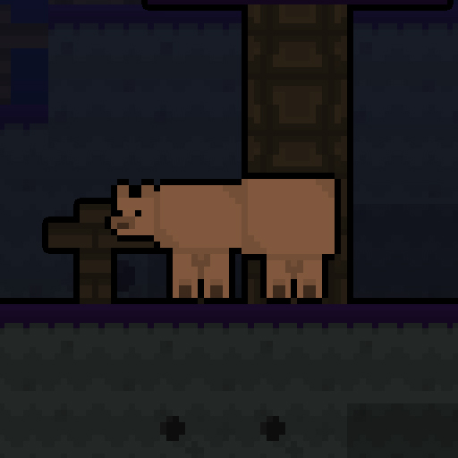 Horro Forest Bear